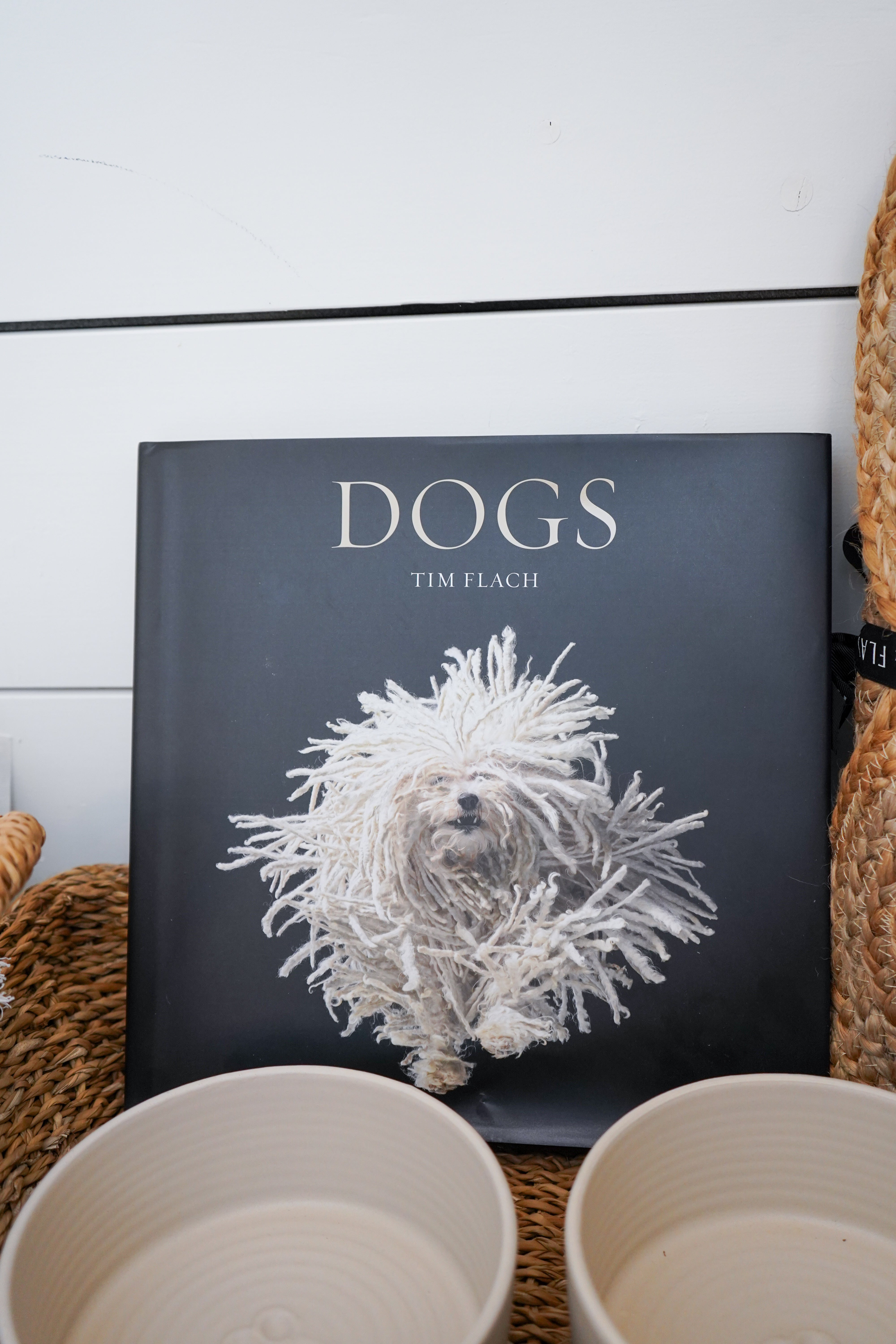 Dogs