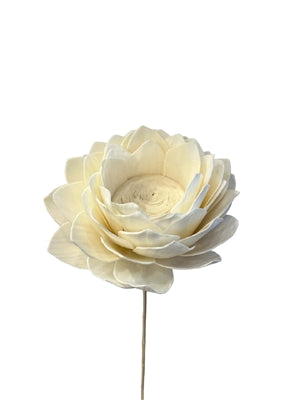 39" Dried Lotus Flower Stem