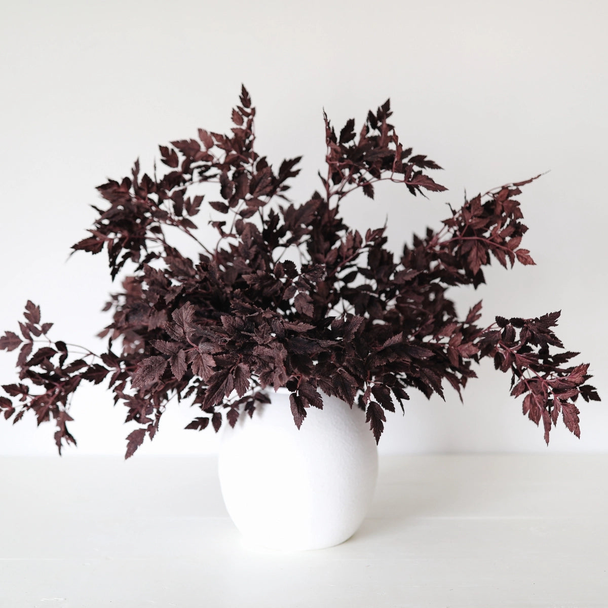 31" Cimicifuga Leaf Stem-Plum