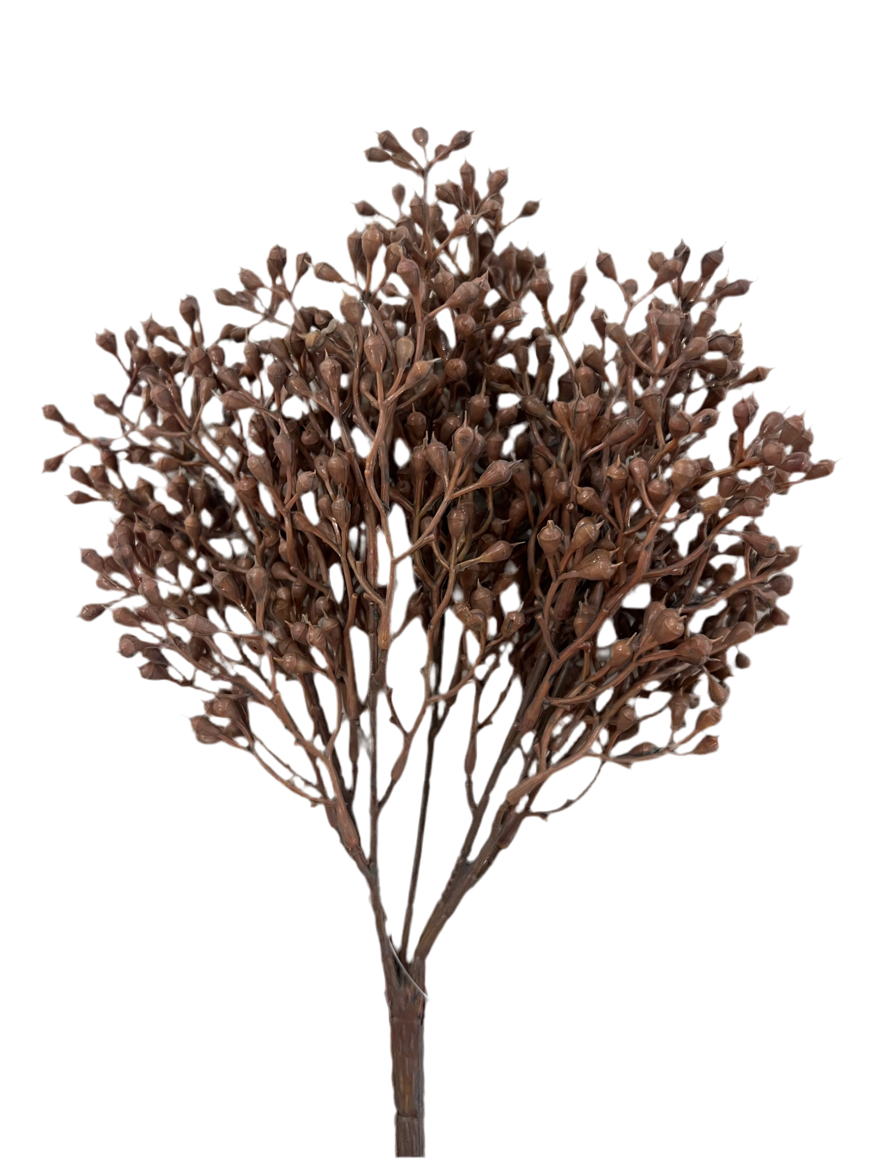 12" Seed Bunch-Tobacco