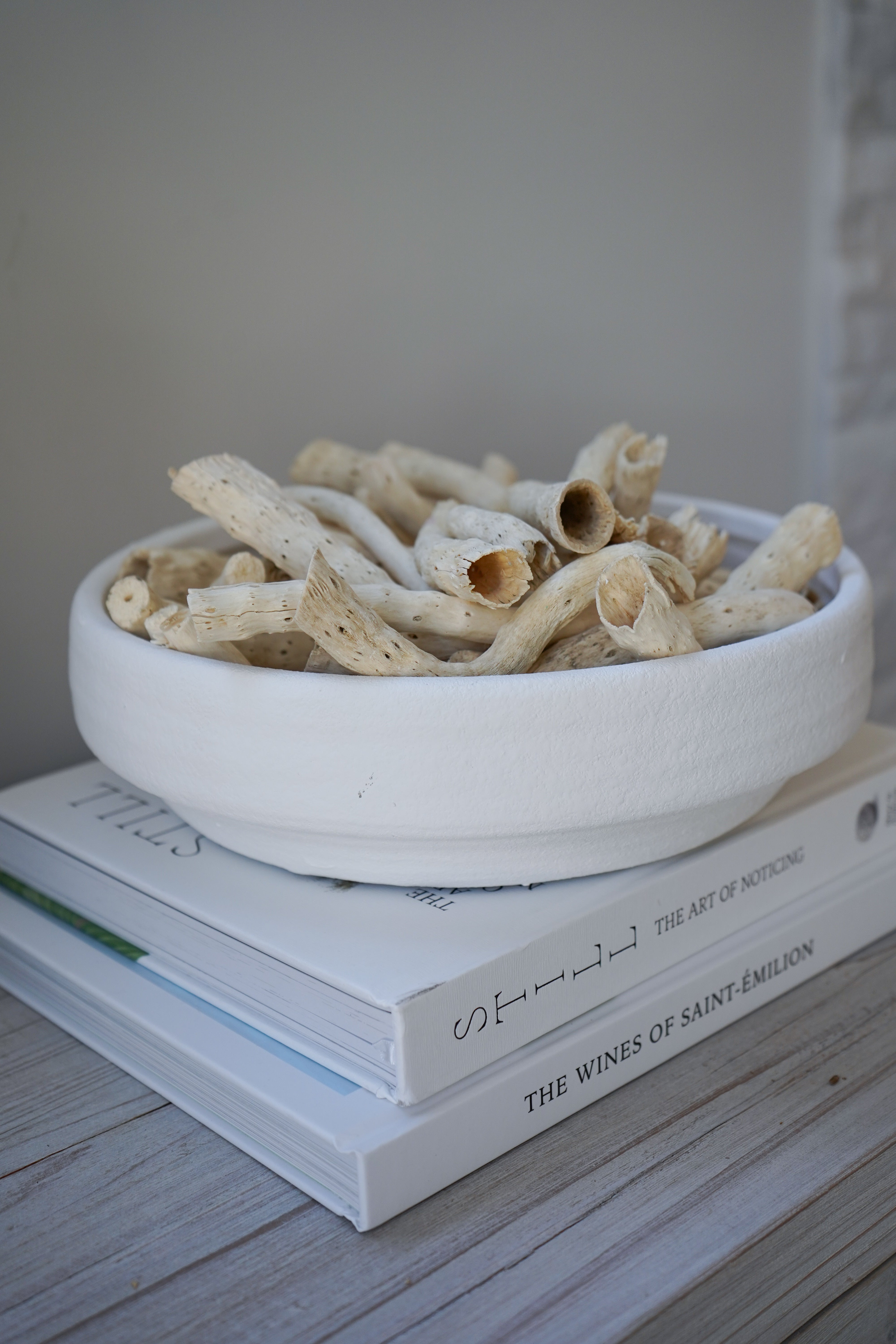 STILL: The Art of Noticing