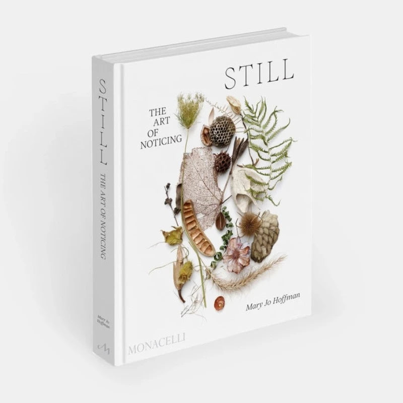 STILL: The Art of Noticing