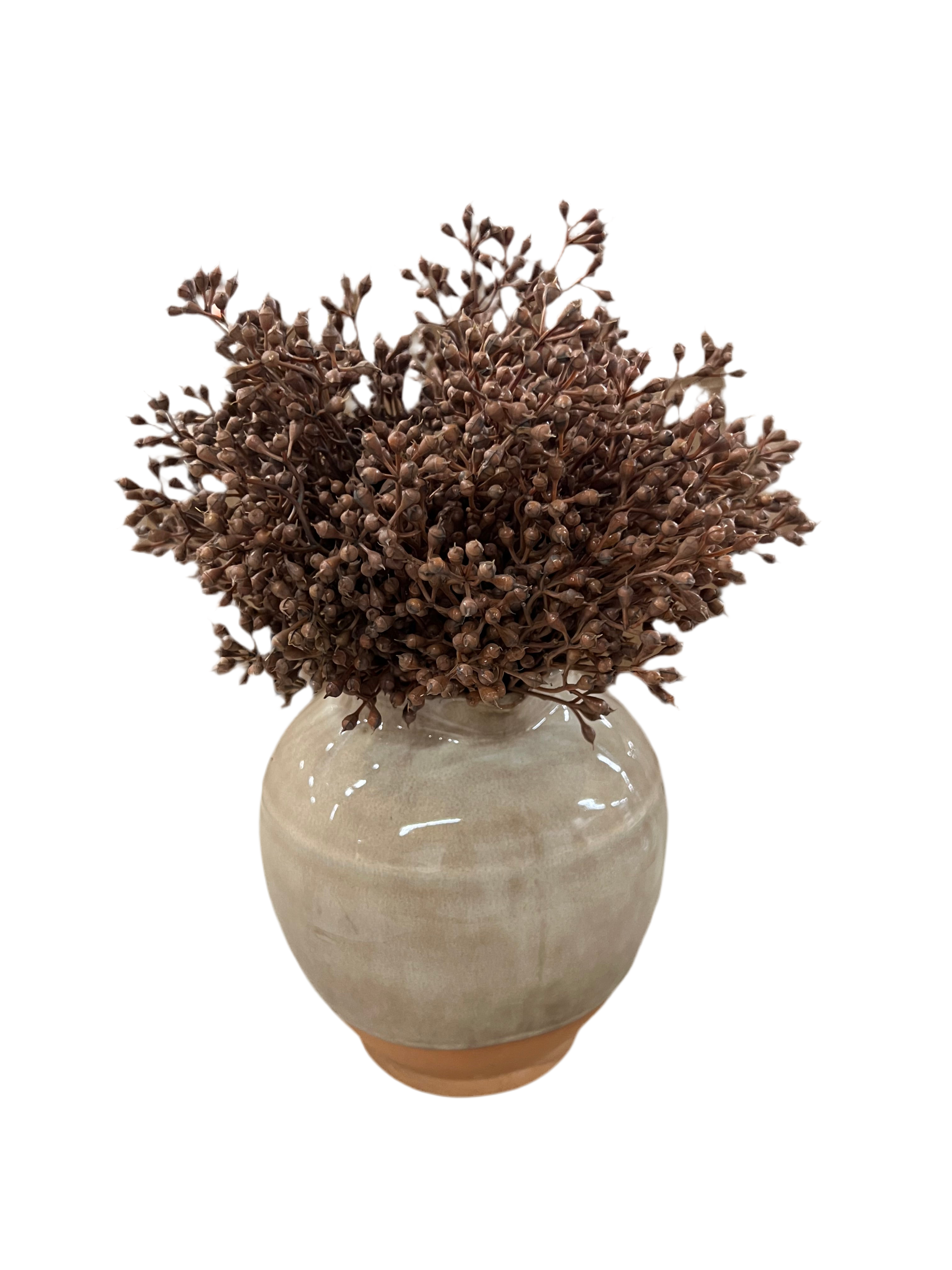 12" Seed Bunch-Tobacco