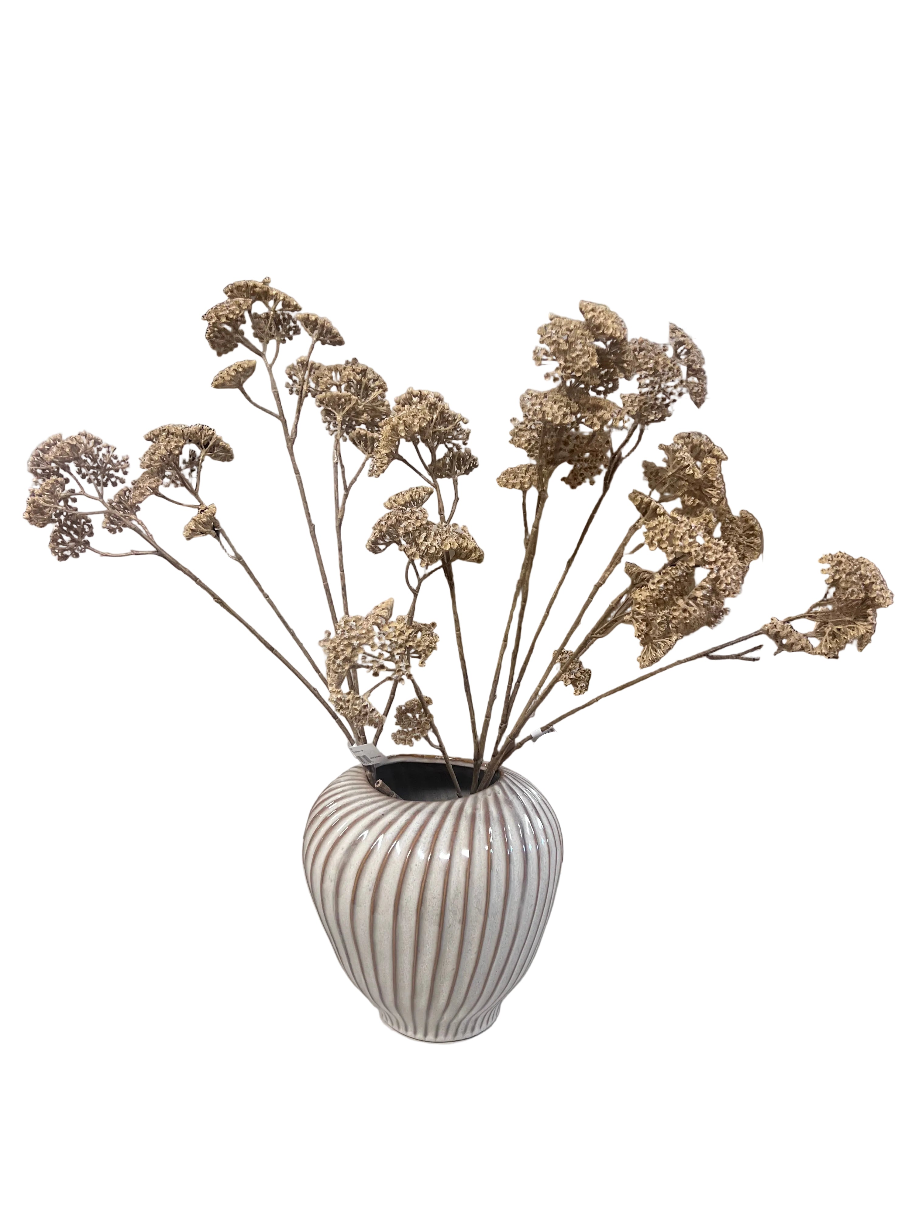 36" Achillea Spray-Beige