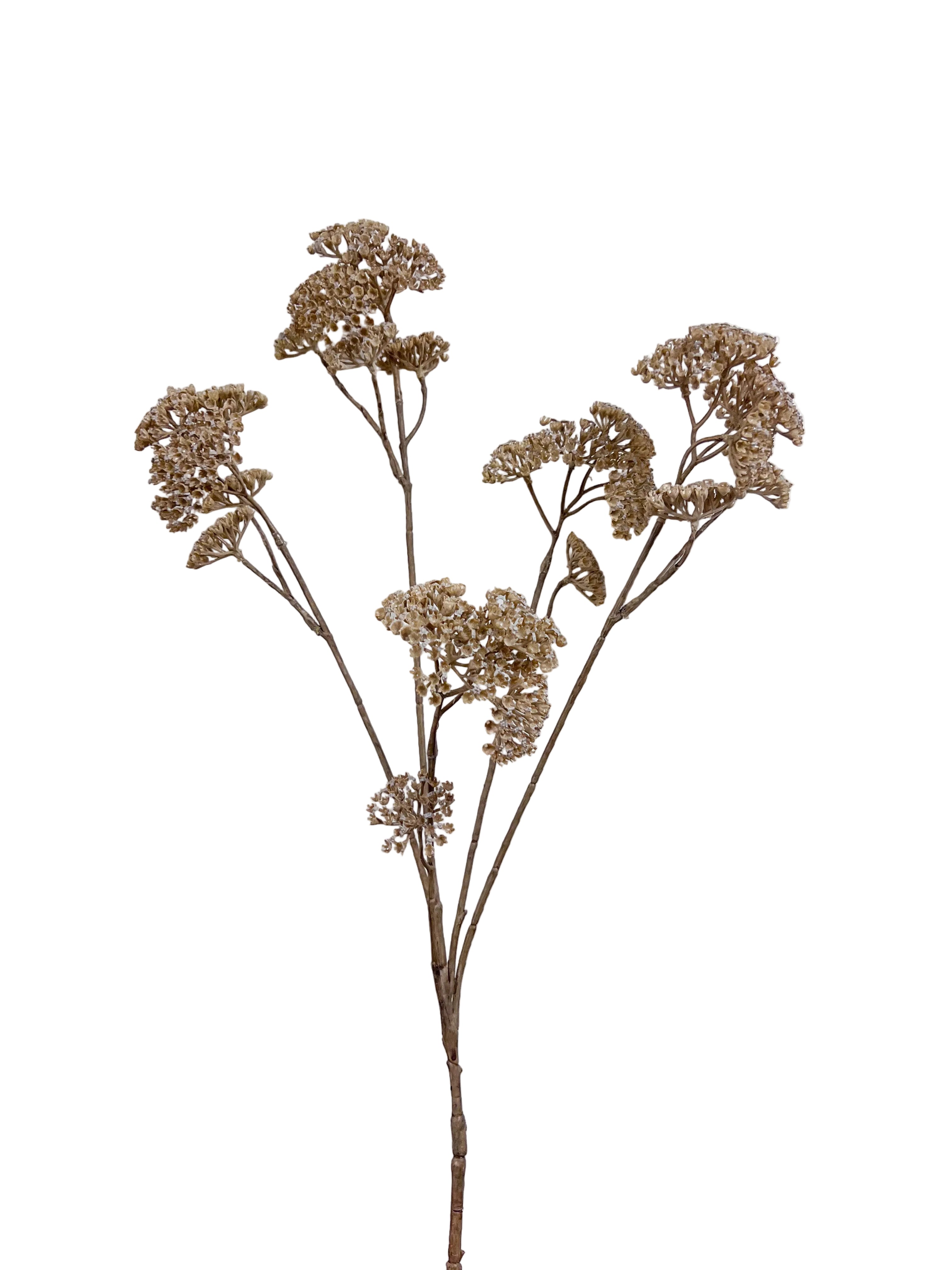 36" Achillea Spray-Beige
