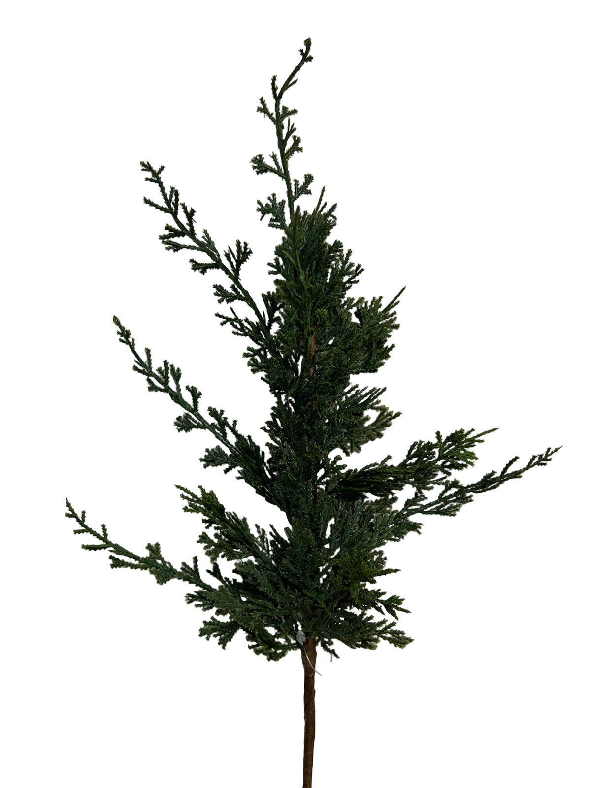 20.5" Arborvitae Cedar Spray