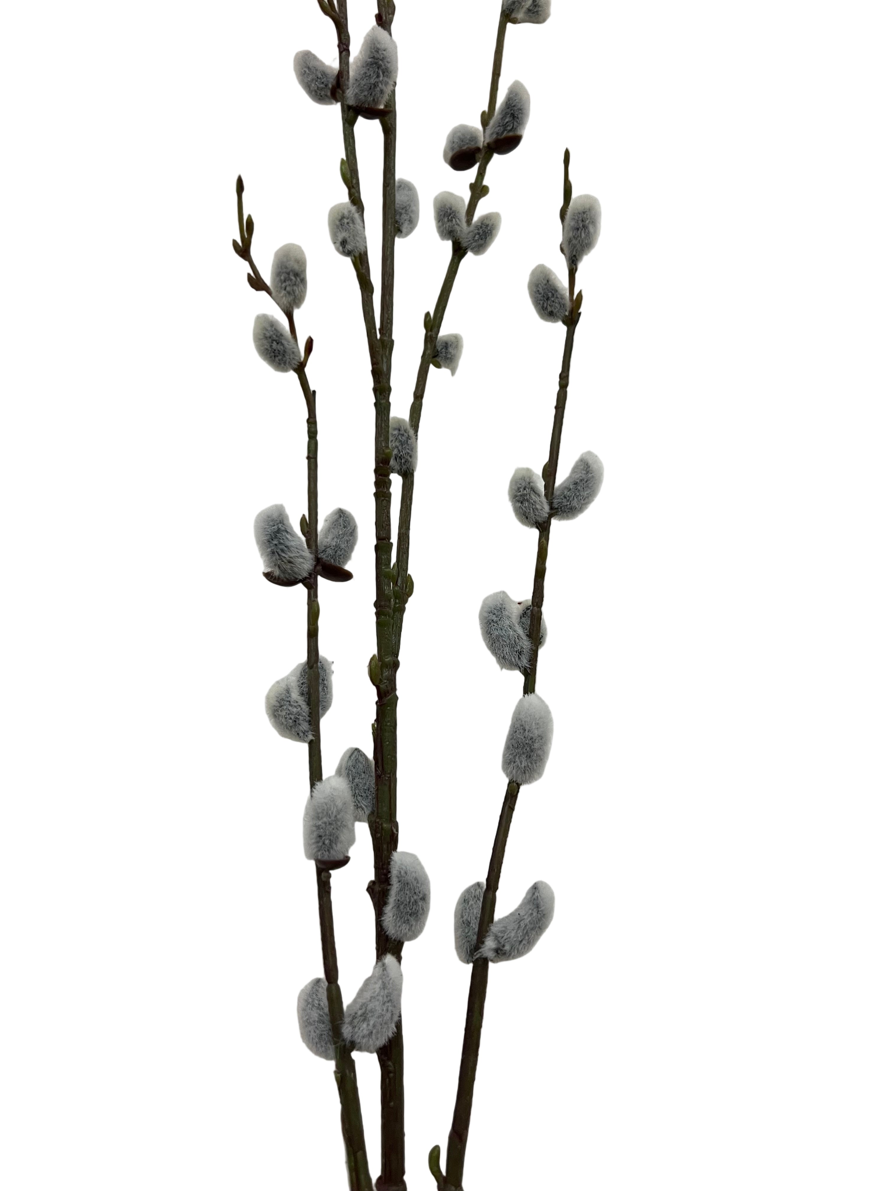 46" Pussy Willow Stem-Gray