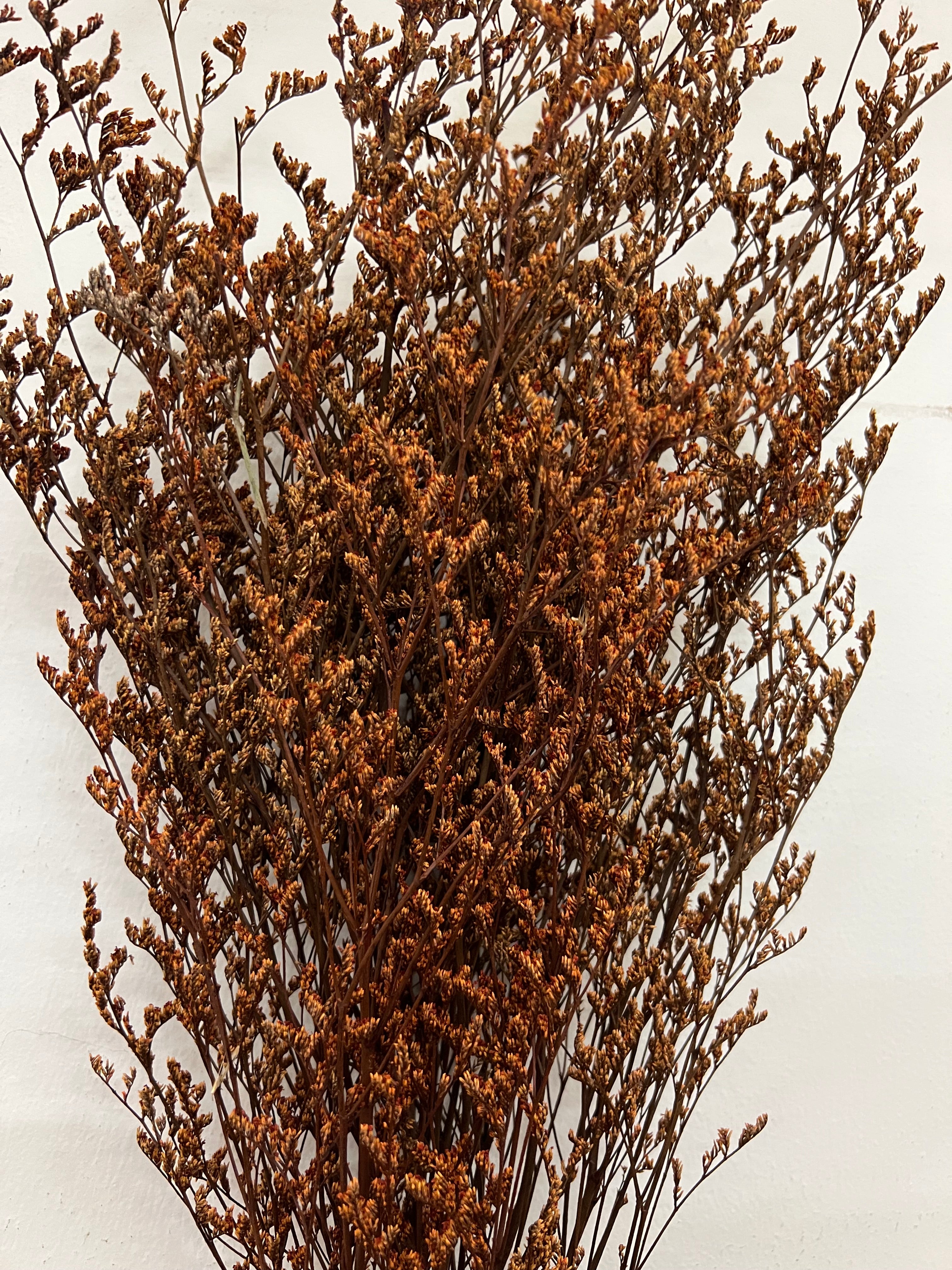 29" Dried Caspia Bunch-Rust