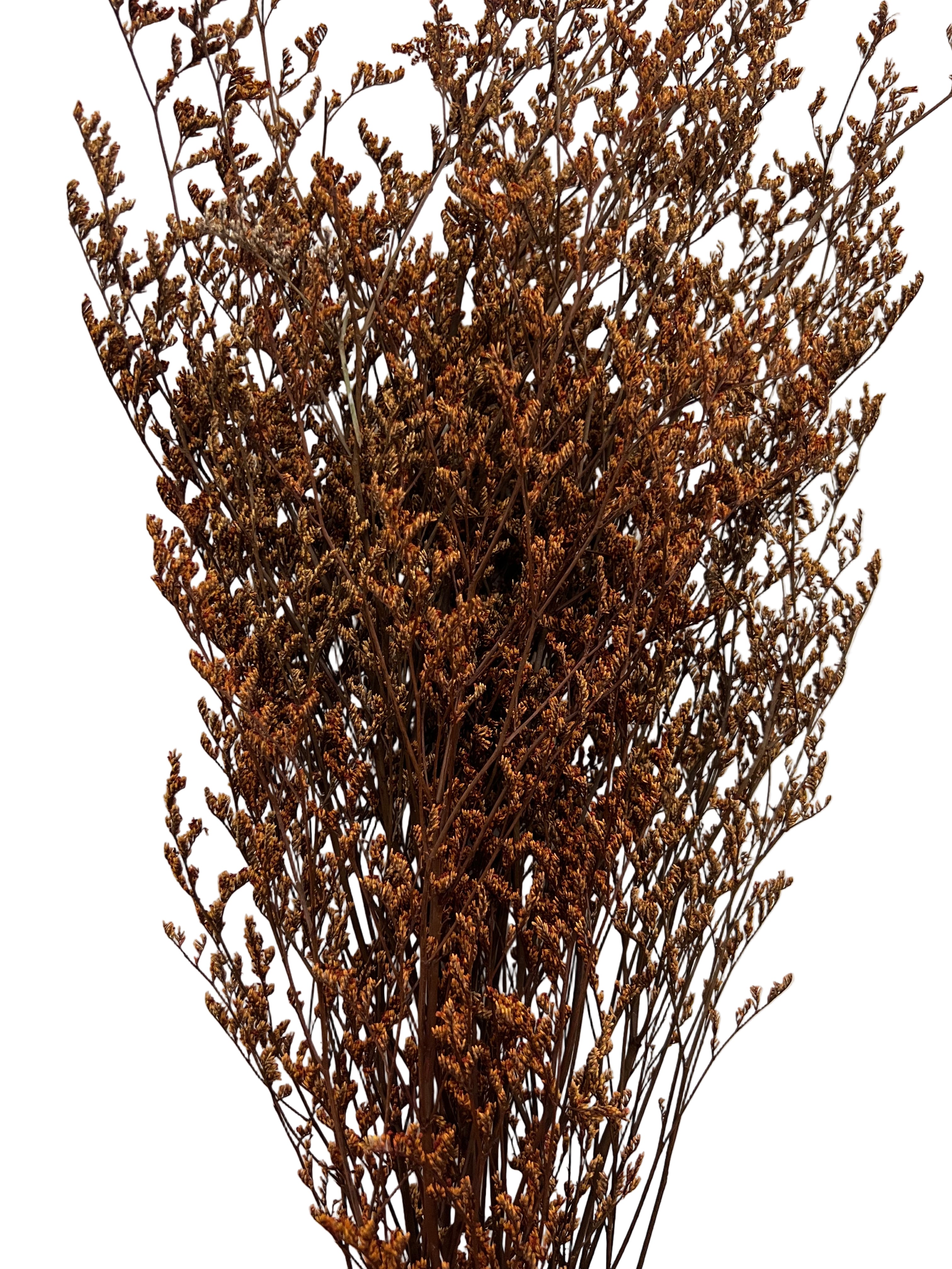 29" Dried Caspia Bunch-Rust
