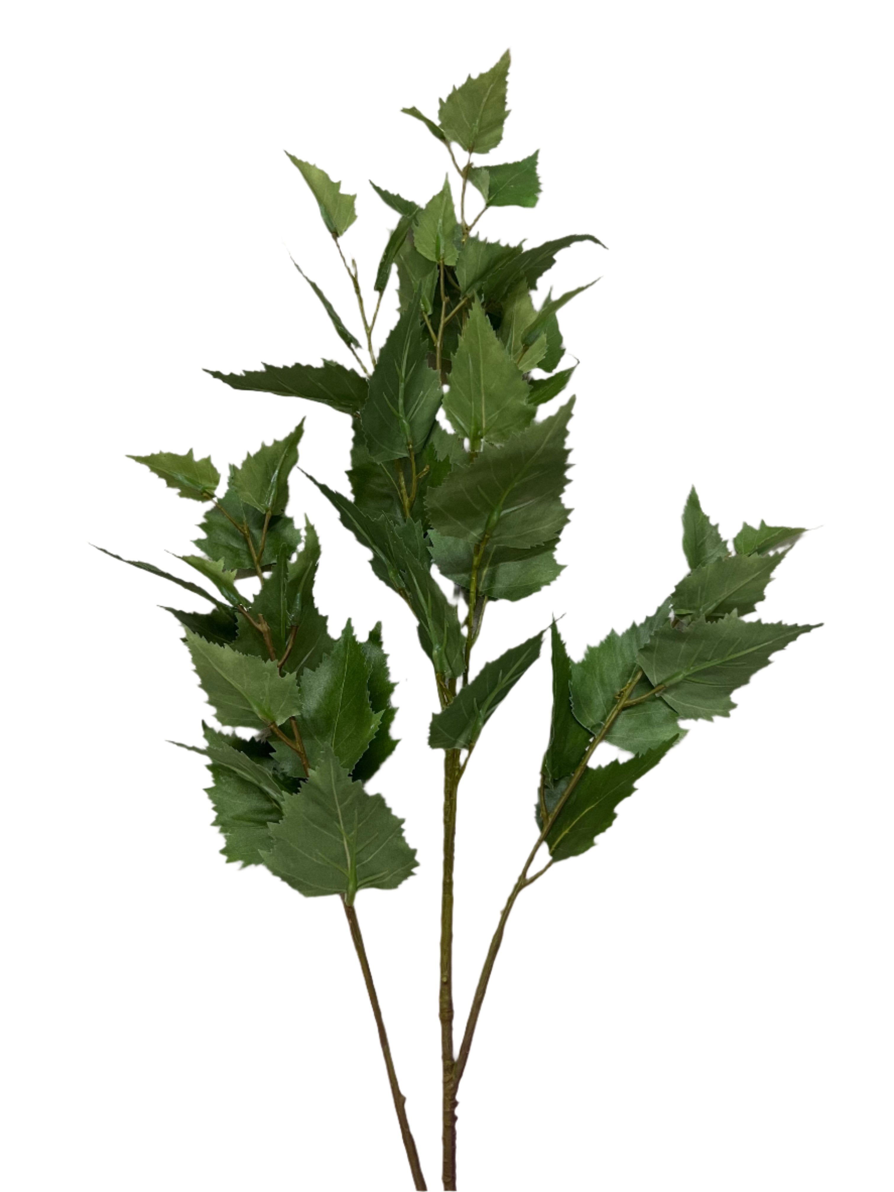 34" Birch Tree Branch