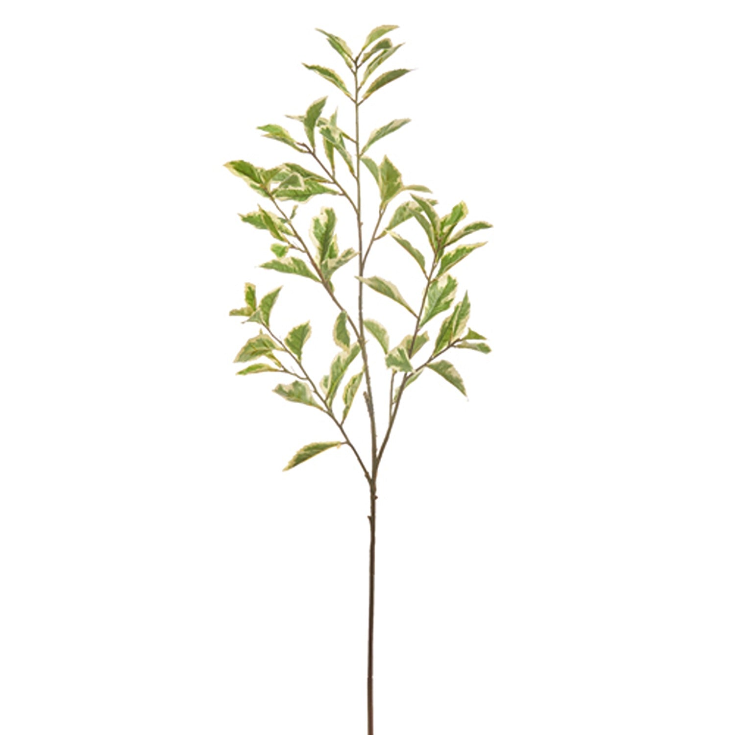 40" Green Leaf Branch