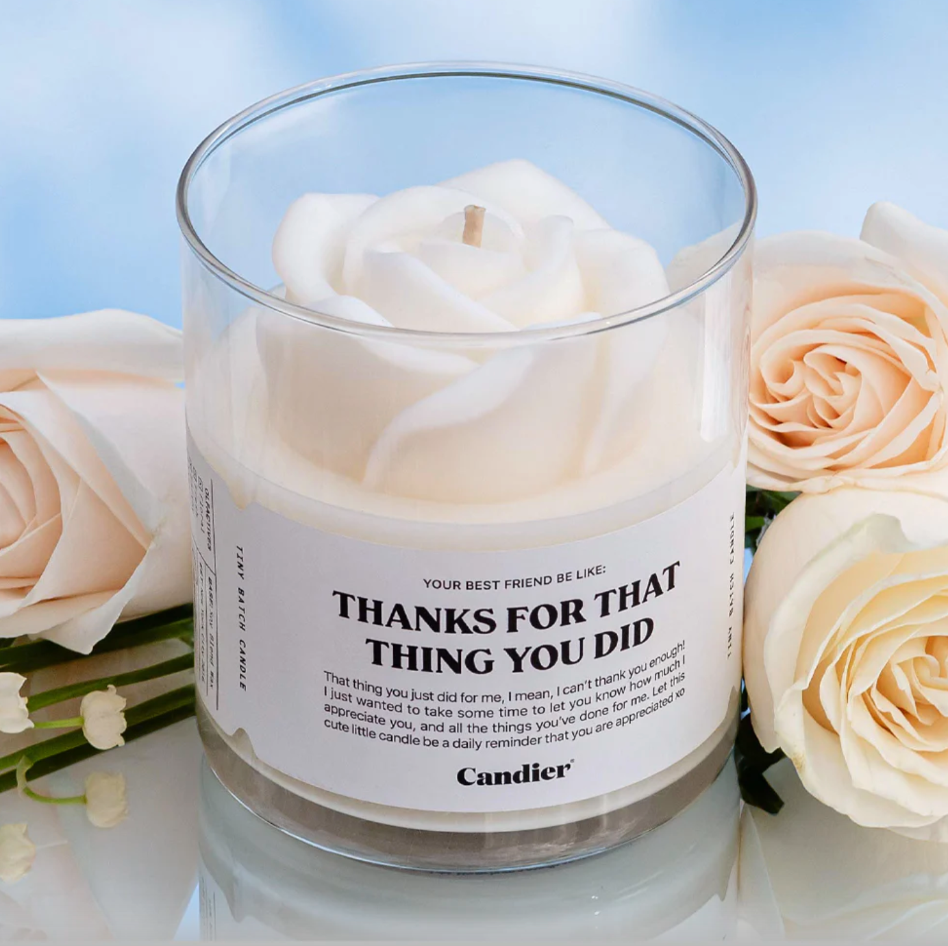 Thanks Candle