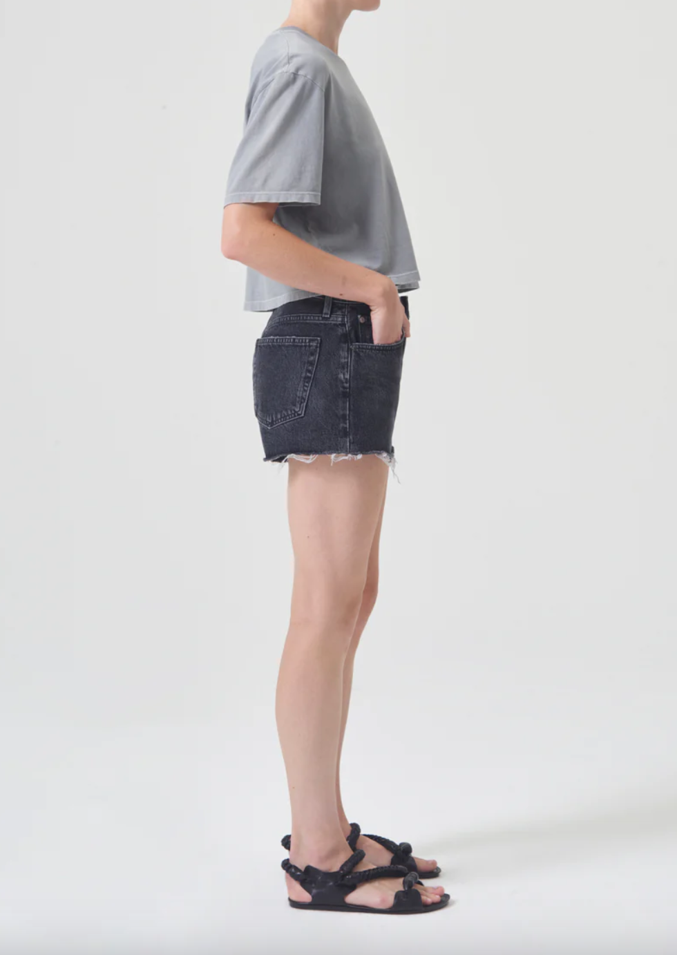 Parker Shorts-Bewitched
