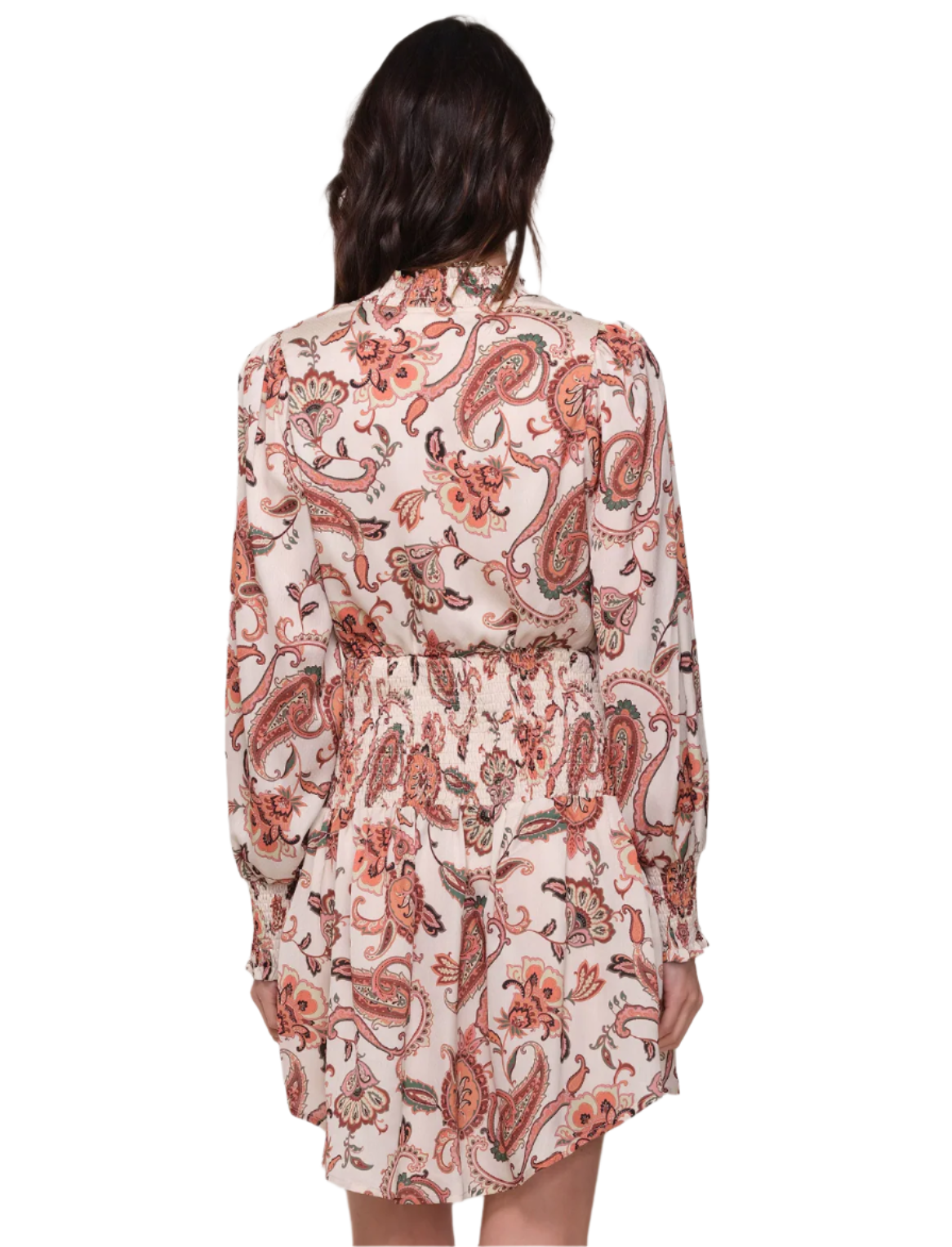 Erika Dress-Paisley