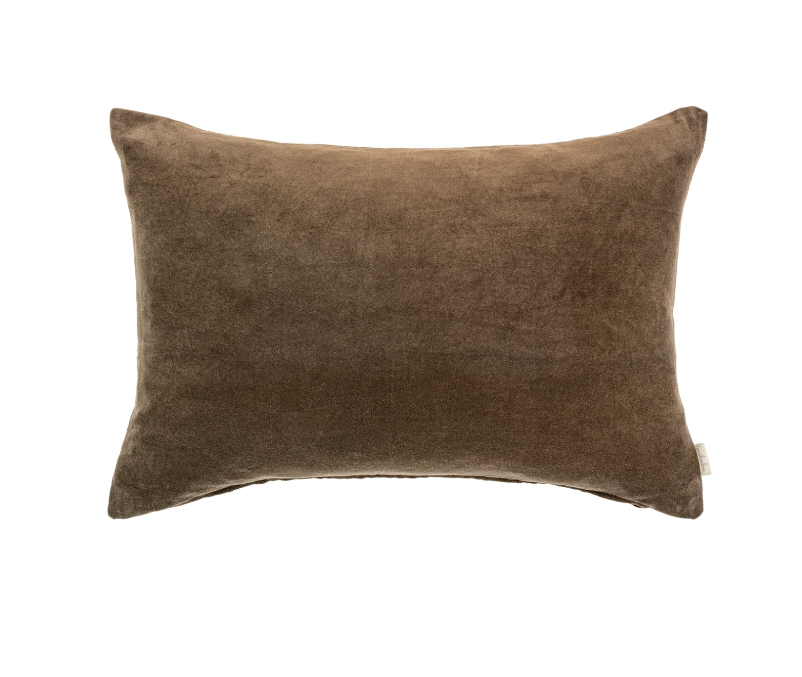 16x24 Clove Velvet Pillow