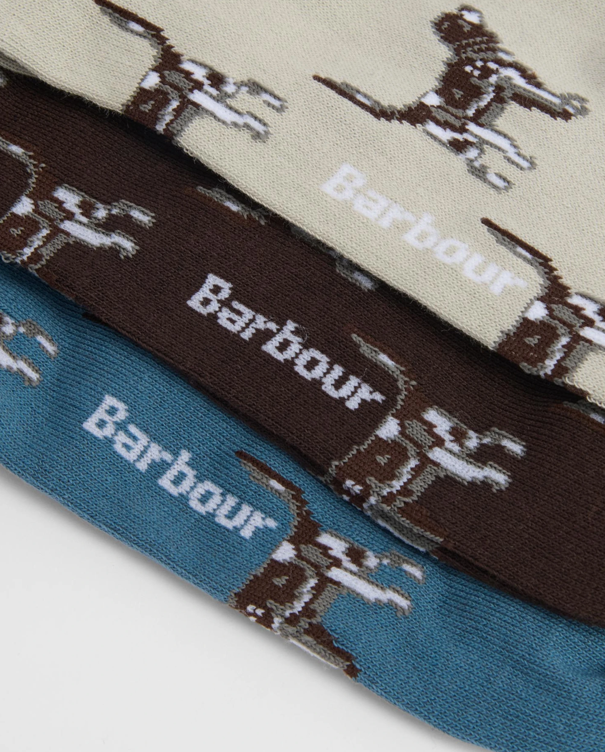 Pointer Dog Socks Gift Box