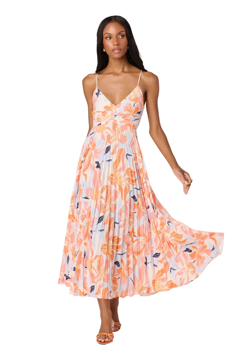 Blythe Dress-Orange Blue Floral