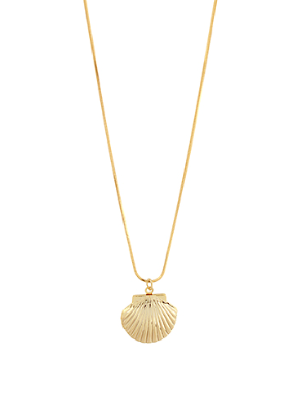 Shell Necklace