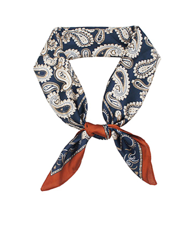 Paisley Border Scarf-Navy