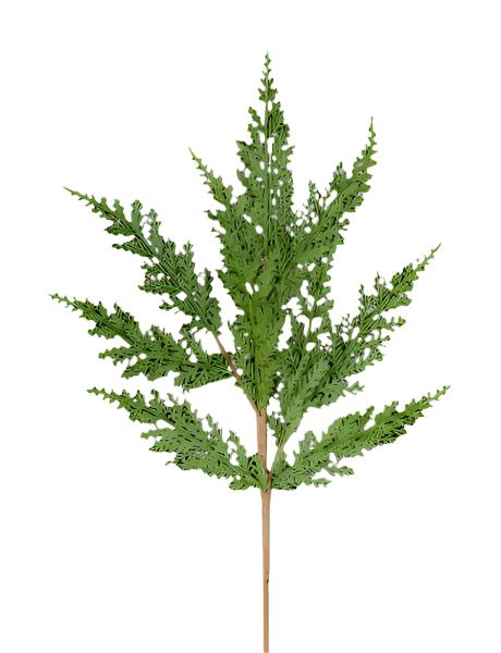 24" Arborvitae Cedar Spray