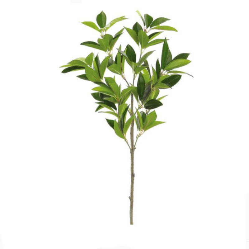 Myrtle Leaf Stem -28"