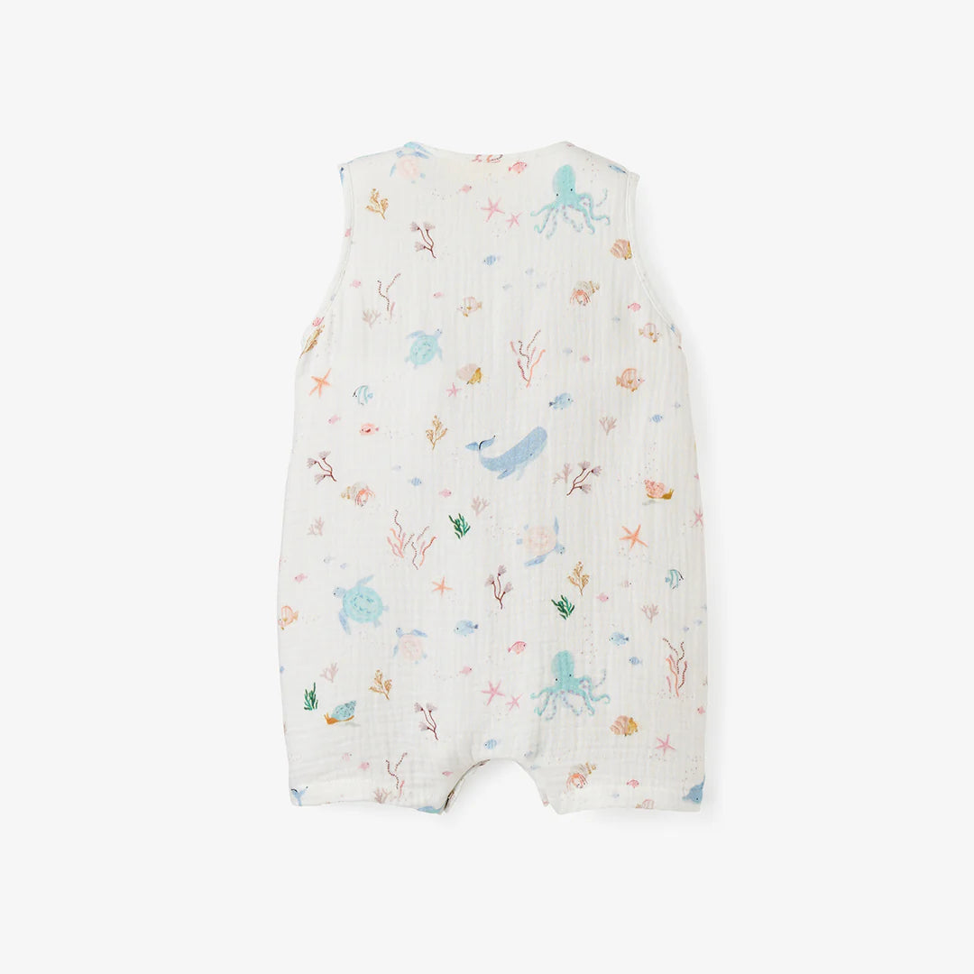 Ocean Adventure Shortall