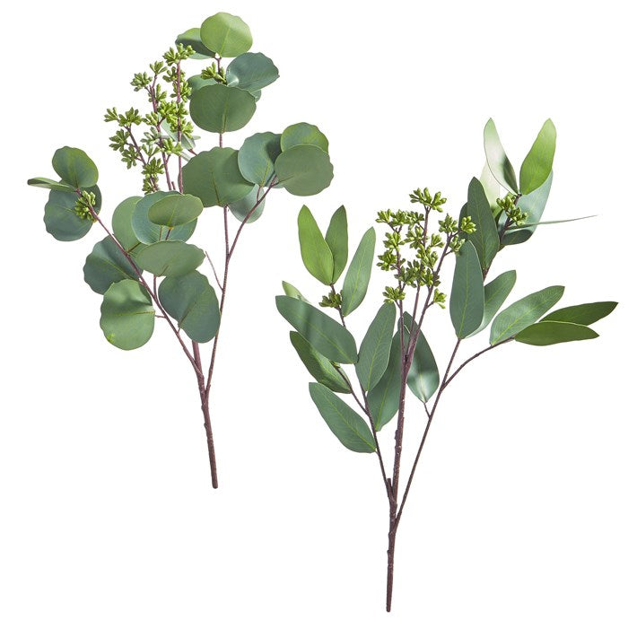 Seeded Eucalyptus Bundle (2 Styles)