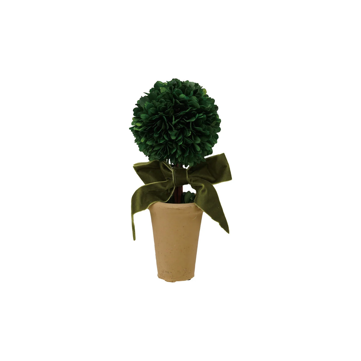 10.5" Boxwood Topiary in Pot