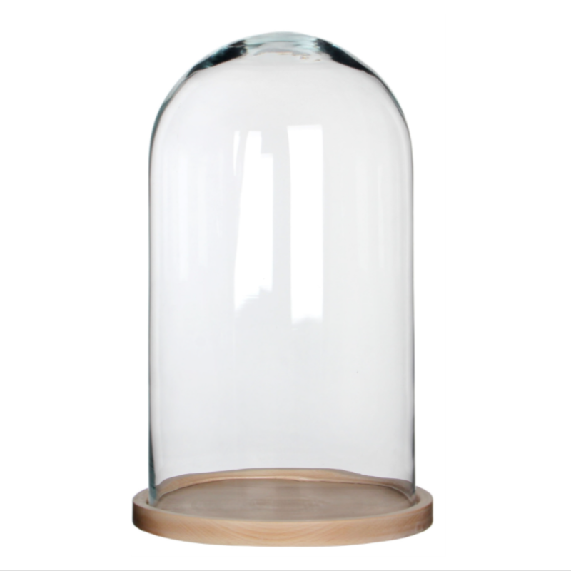 Glass Cloche with Wood Base (3 Sizes)