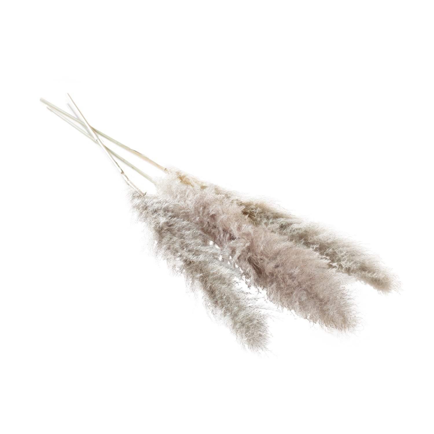 60" Pampas Grass  (3 Colors)