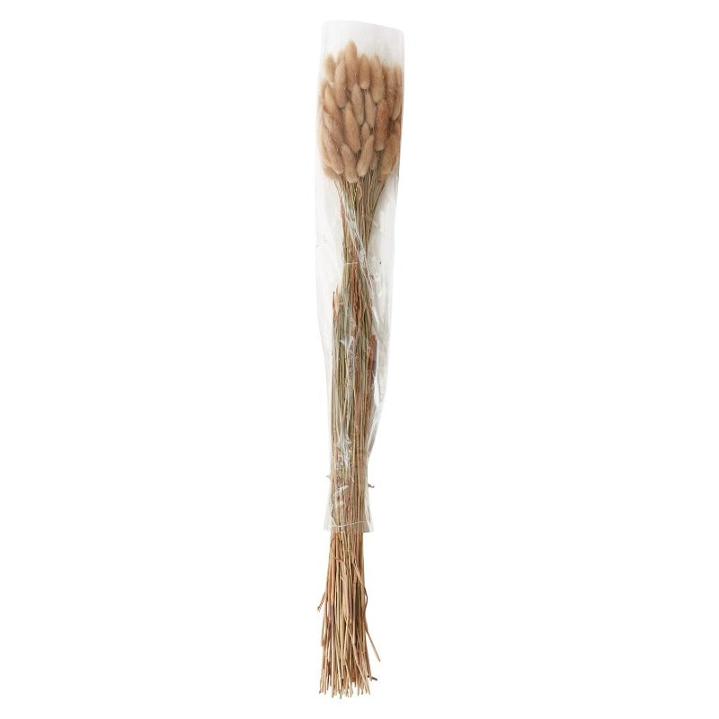 30" Lagrus Grass