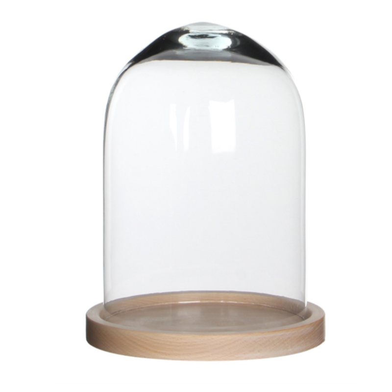 Glass Cloche with Wood Base (3 Sizes)