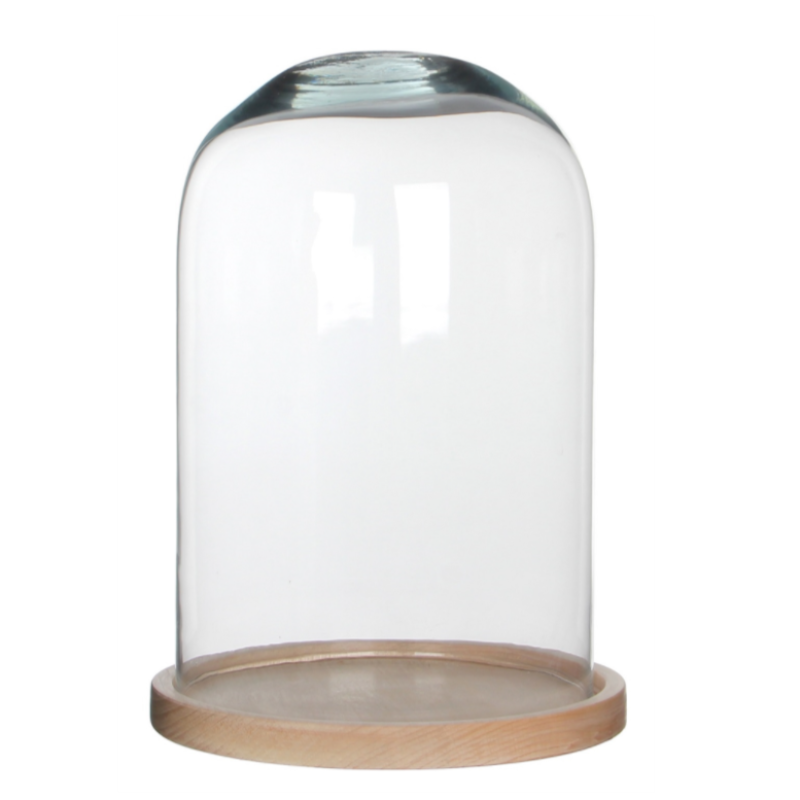 Glass Cloche with Wood Base (3 Sizes)
