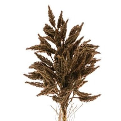 30" Faux Flocked Grain Stem (3 Colors)