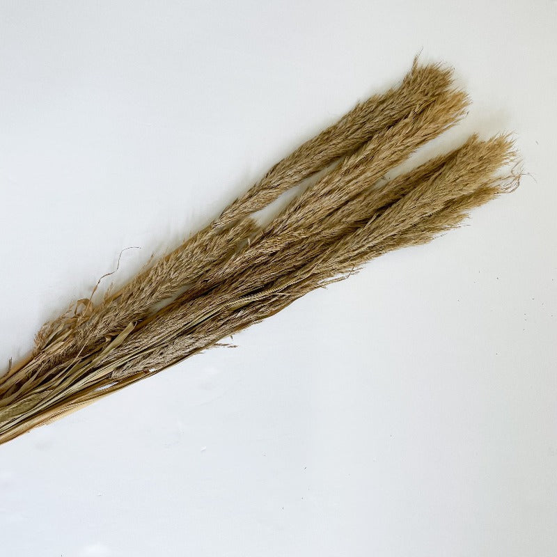 Sprigs of Fall Leaves