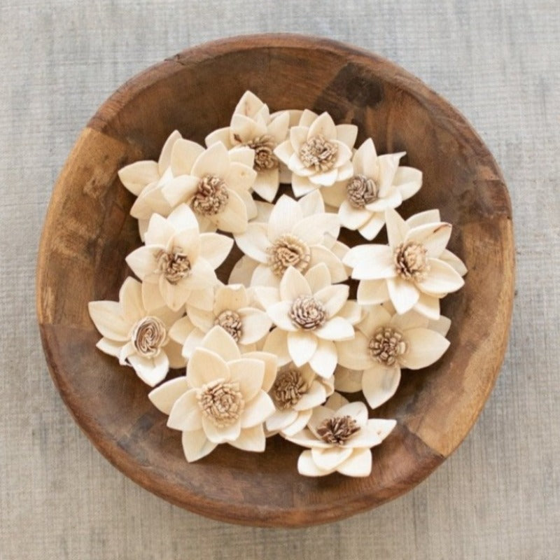Ivory Dried Flowers (Bag of 16)