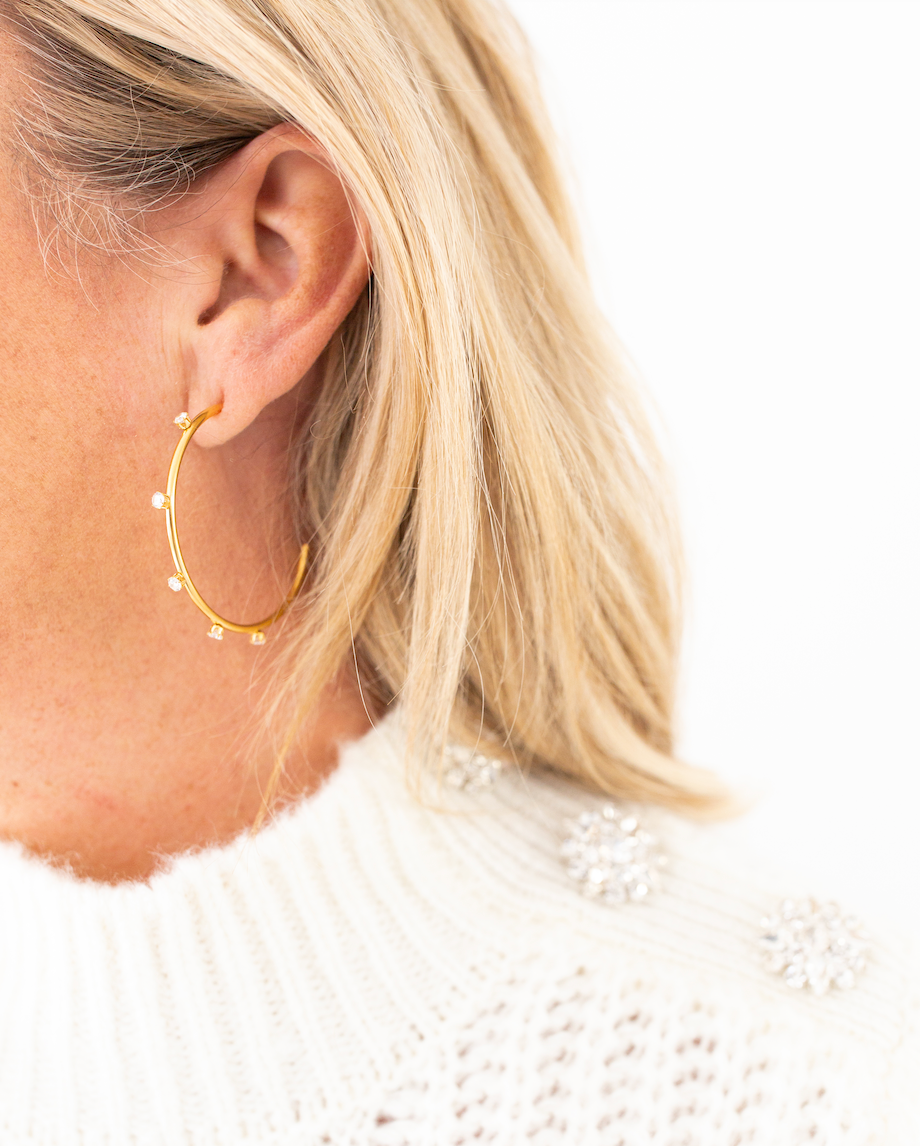 Aster Hoops