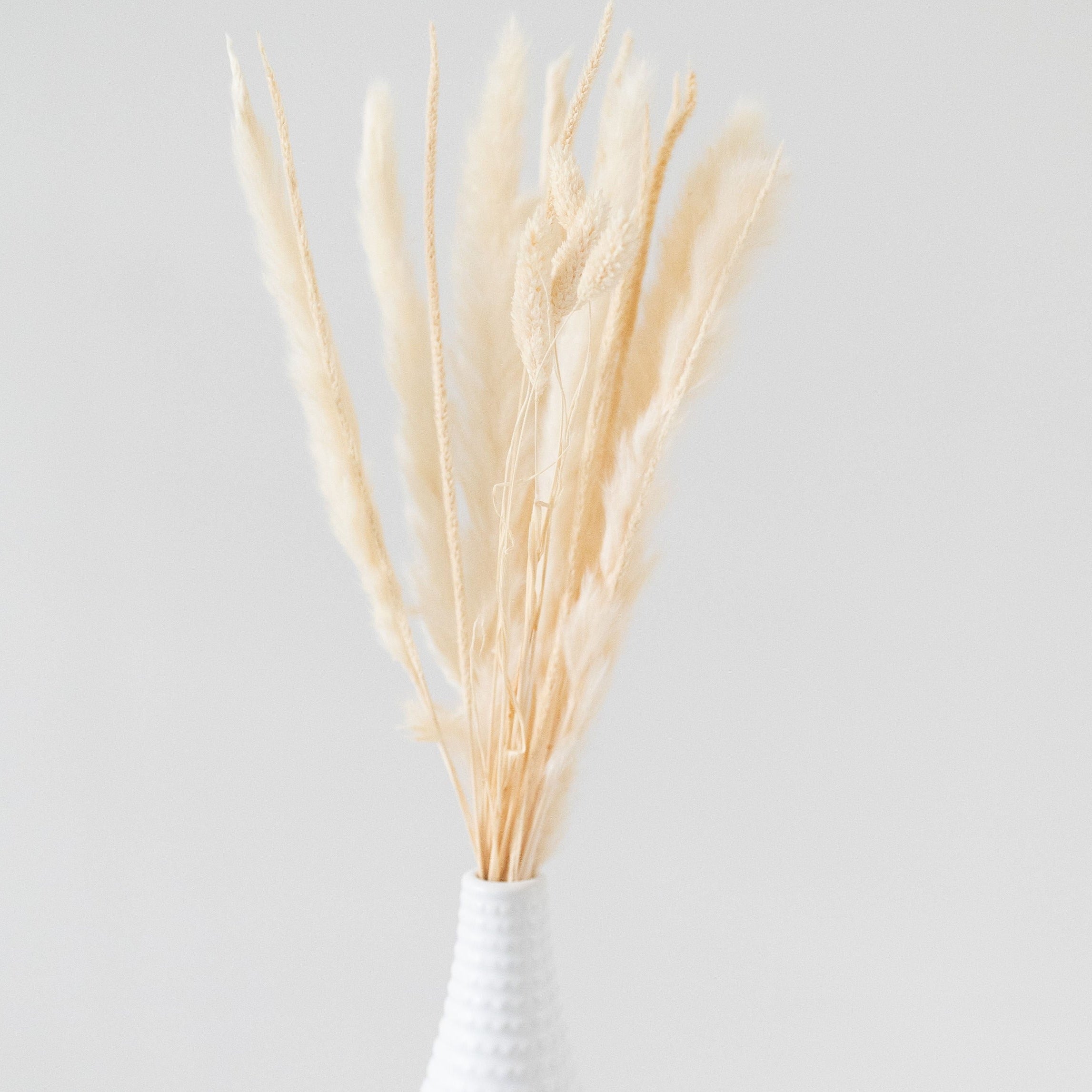 Bleached Bunny Tail Bundle