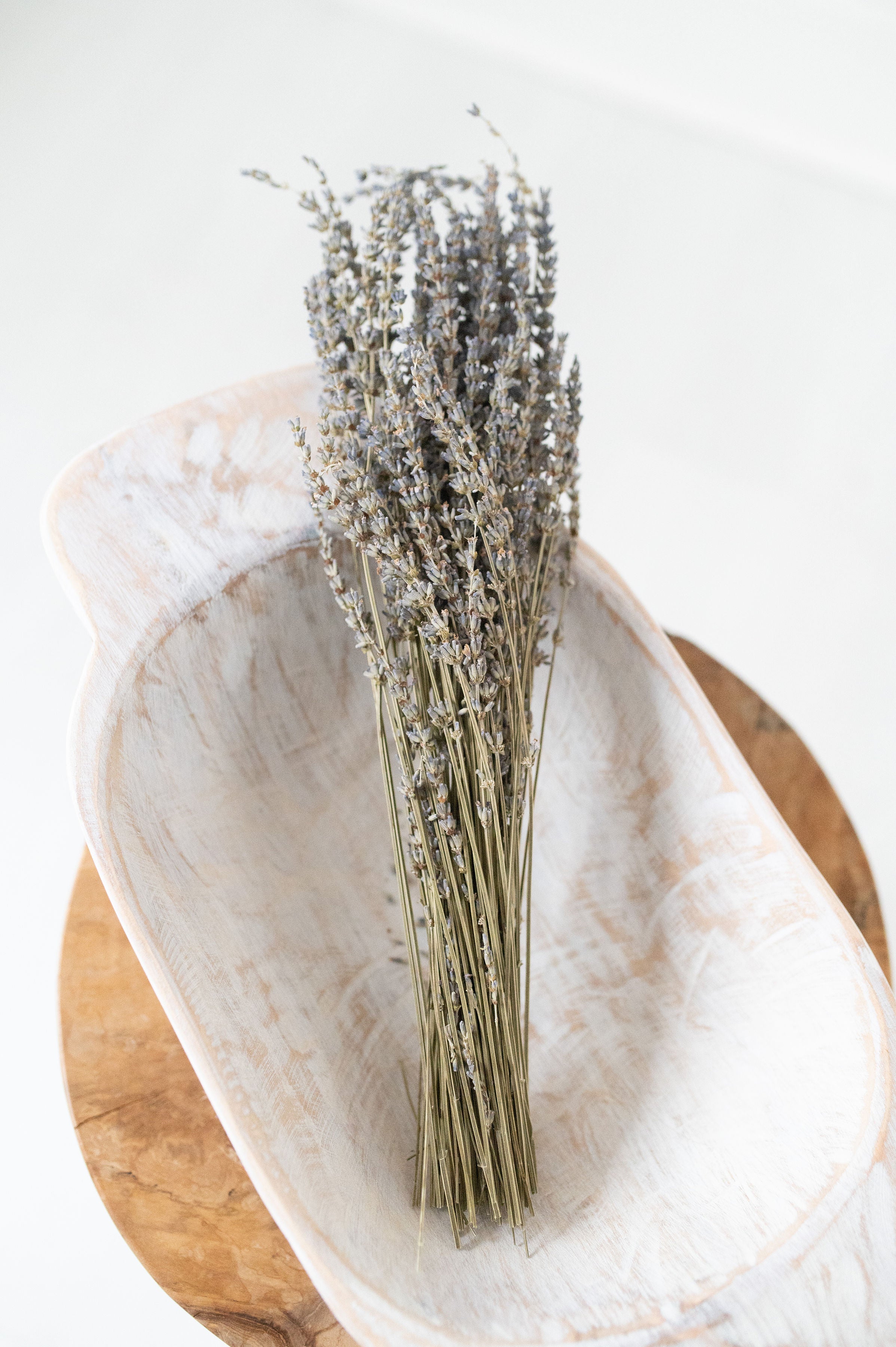 Preserved Lavender Bunch-Final Sale