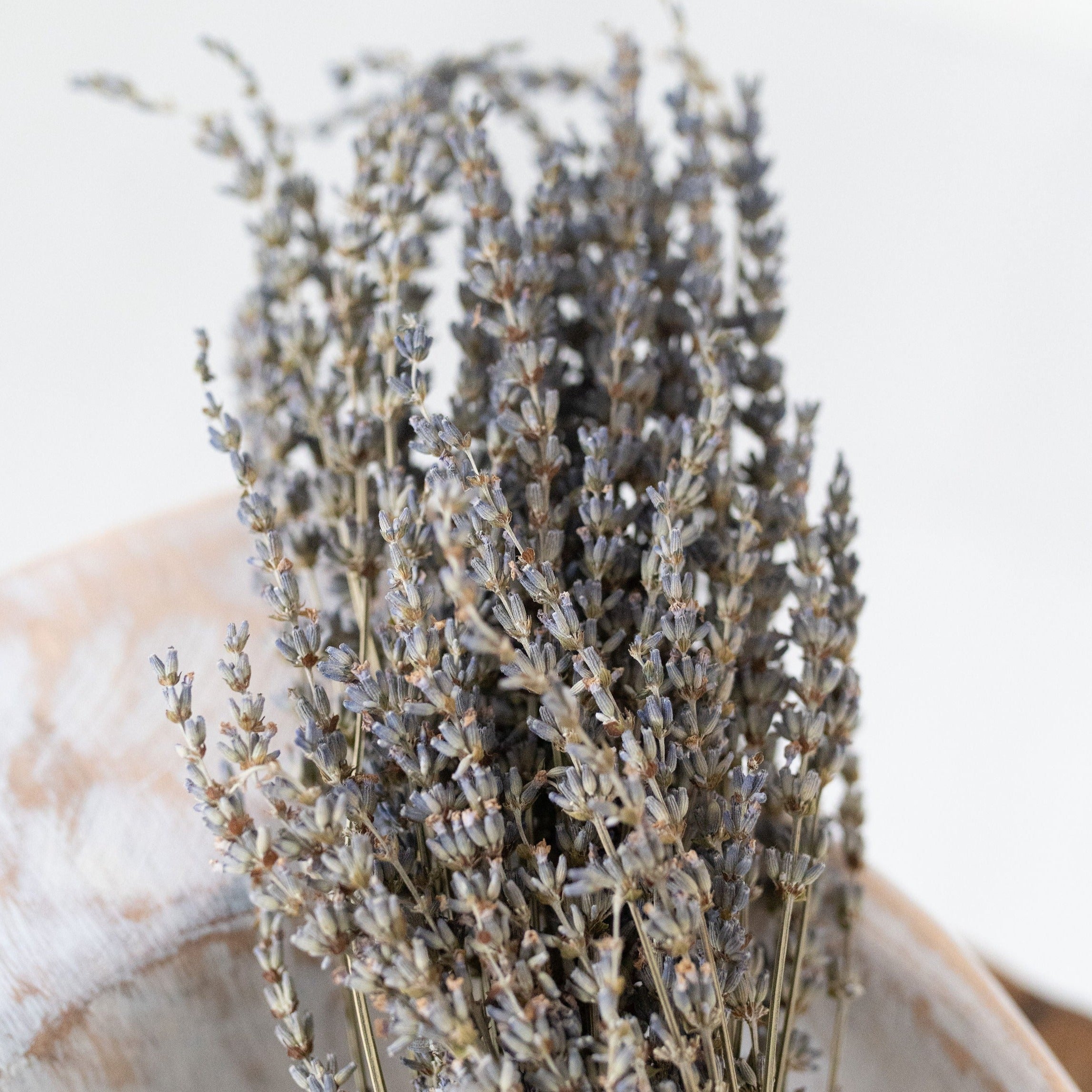 Preserved Lavender Bunch-Final Sale