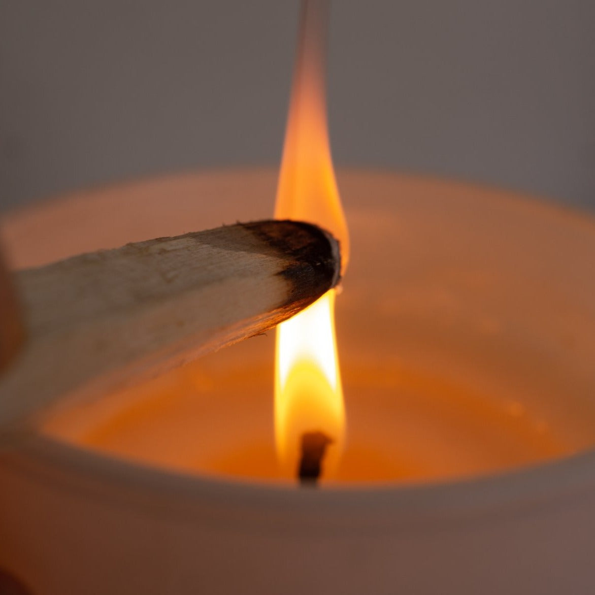 Intentions Palo Santo Bundle
