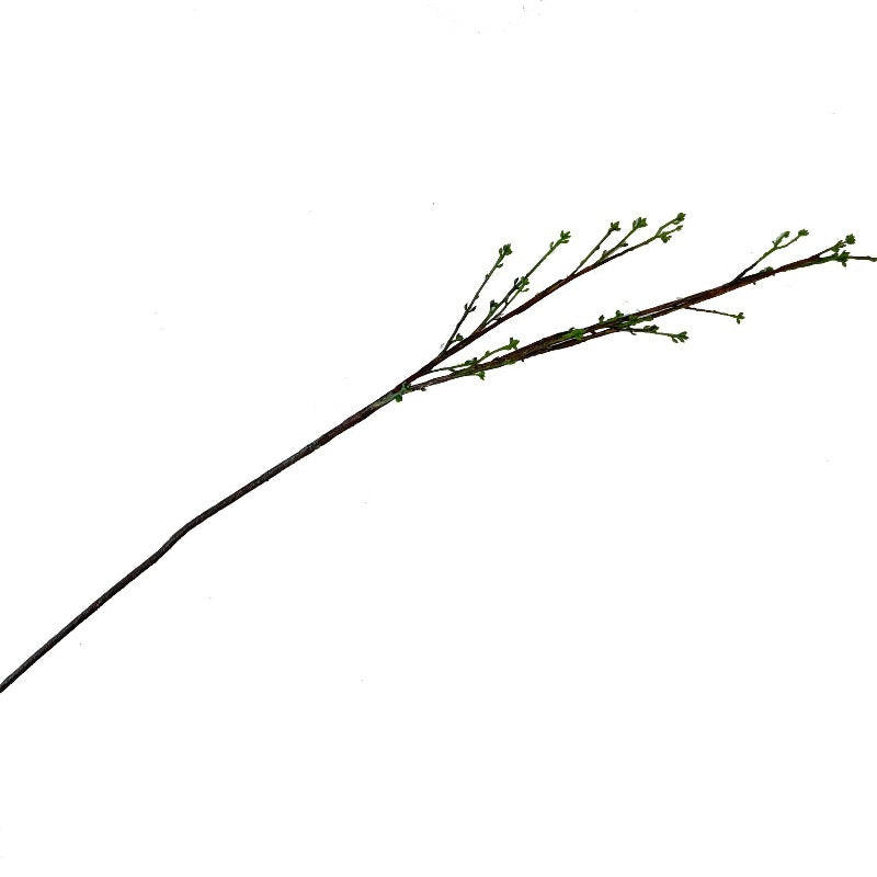 Dried Bud Branch - 40"