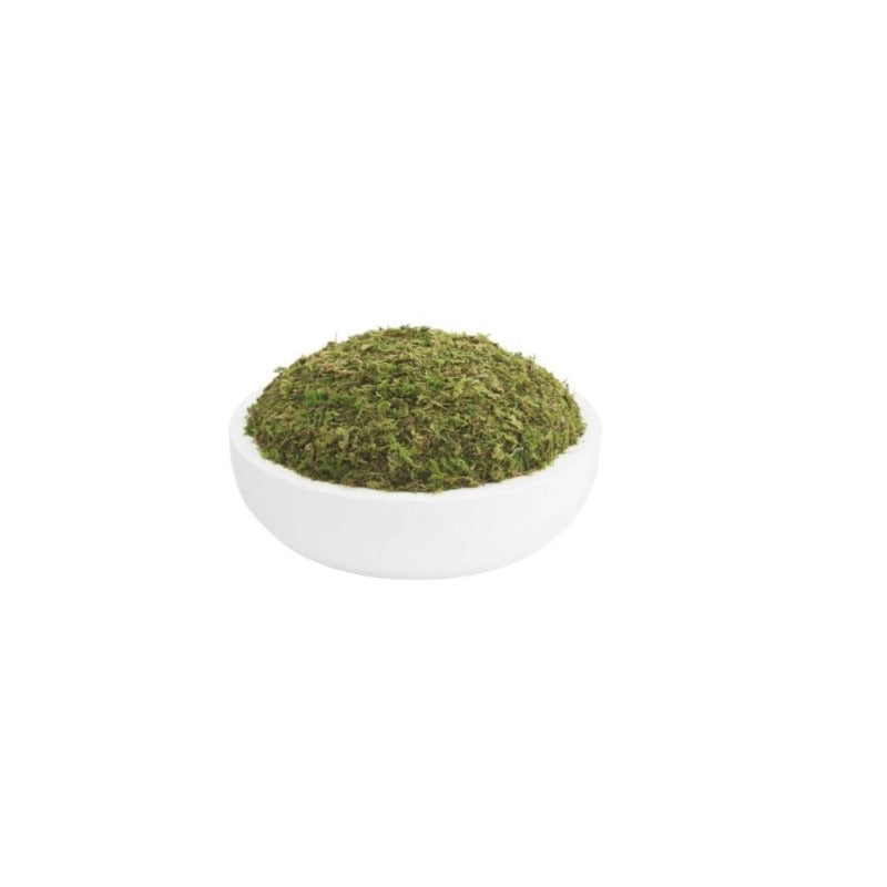 White Paulownia Moss Bowl