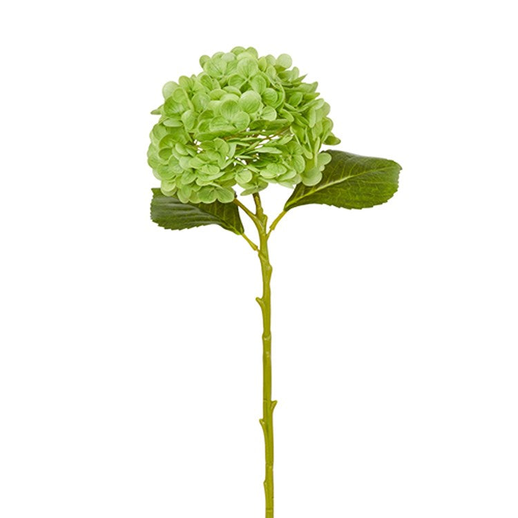 19" Green Hydrangea Stem