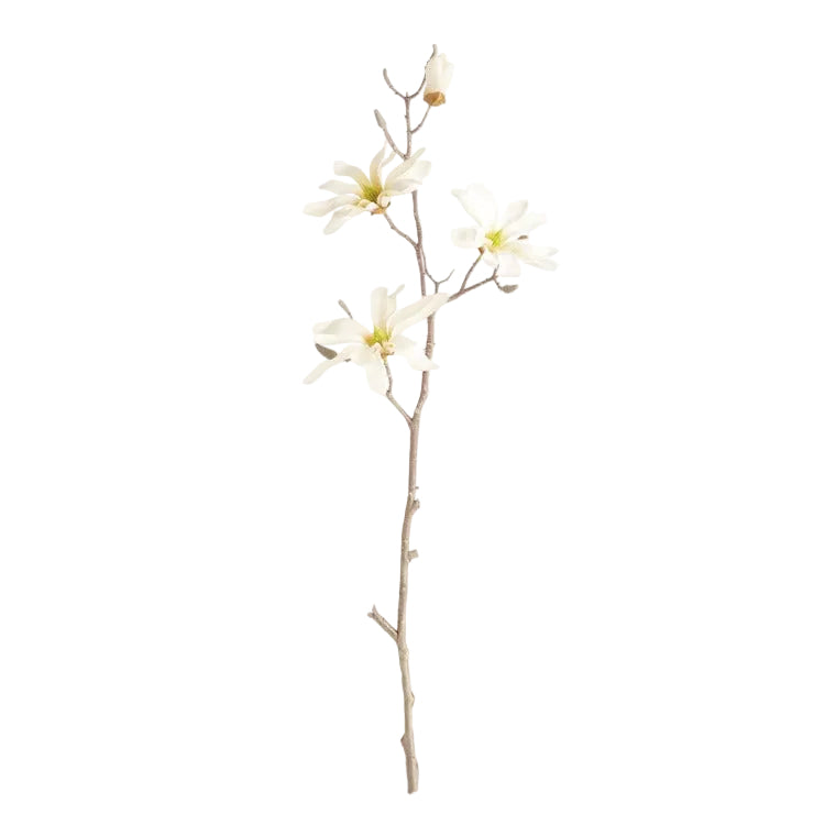 Star Magnolia Branch (2 Sizes)