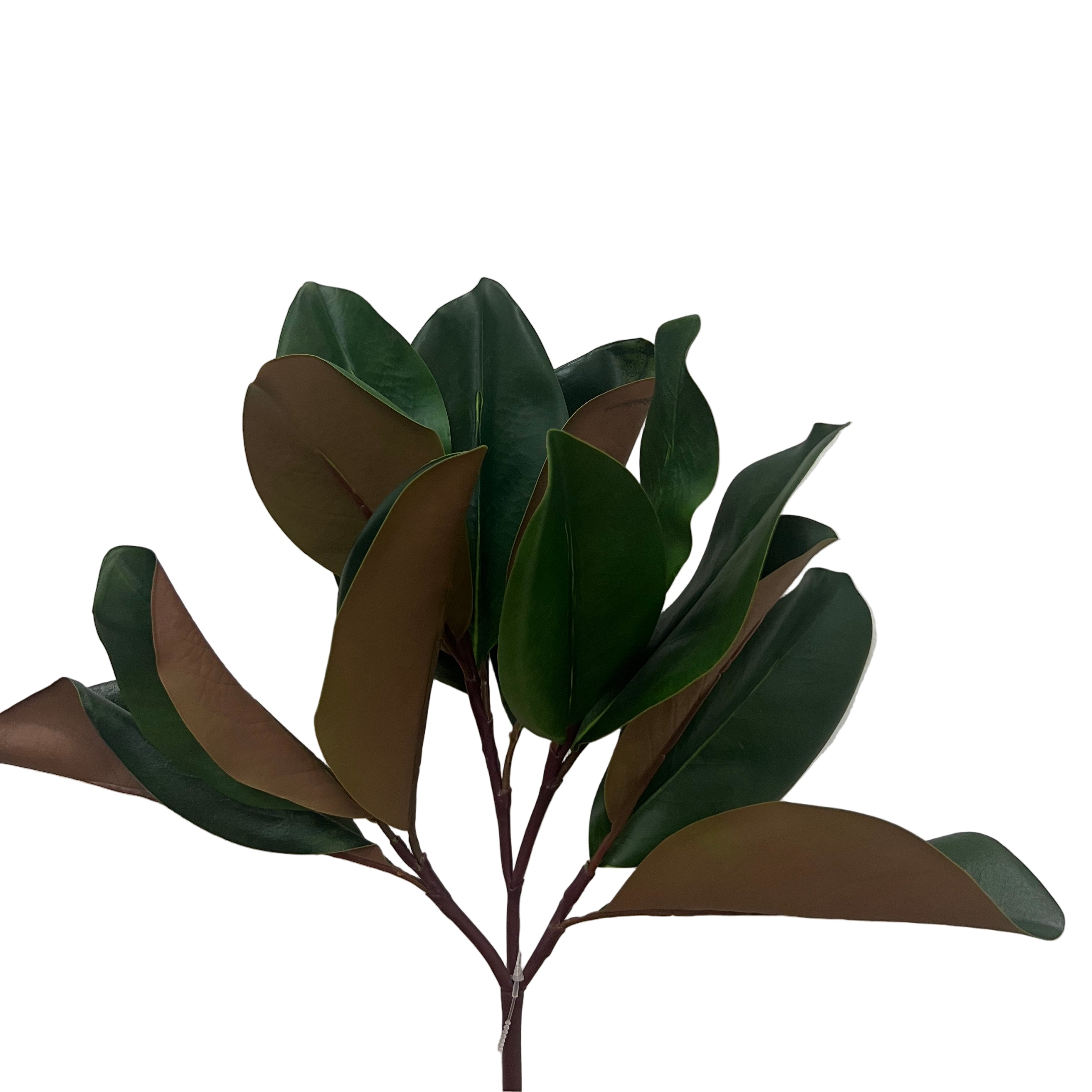 16" Green Magnolia Leaf Pick