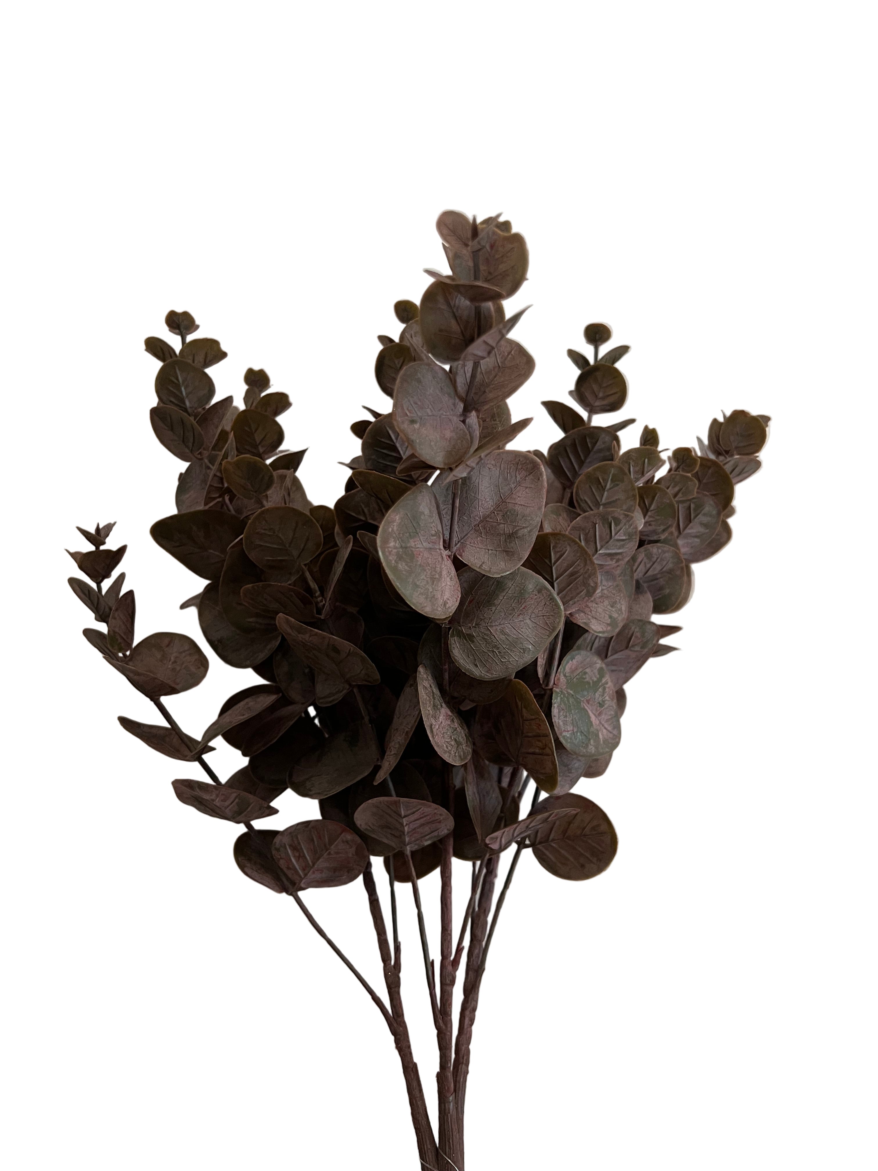 19" Burgundy Eucalyptus Bunch