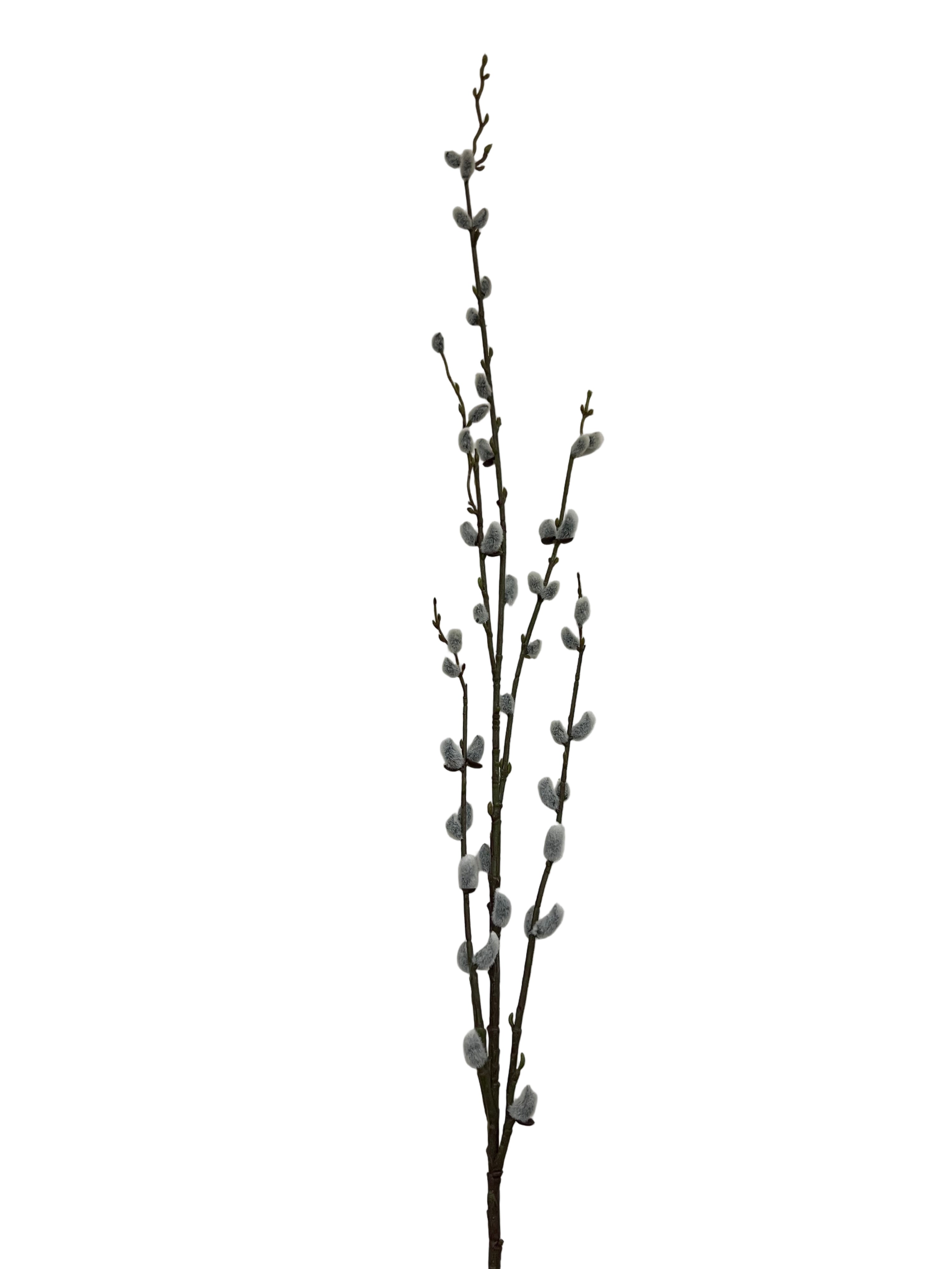46" Pussy Willow Stem-Gray
