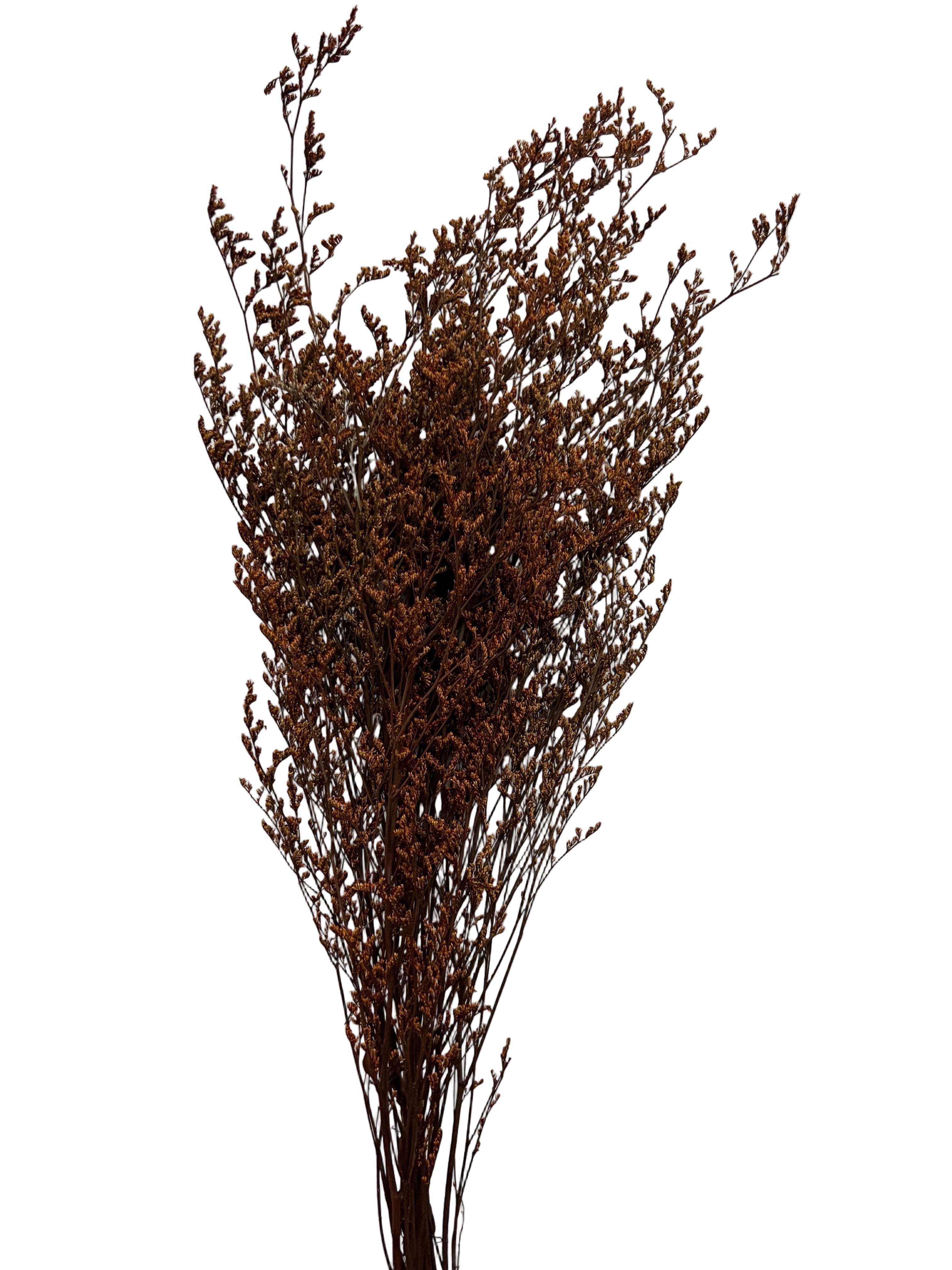 29" Dried Caspia Bunch-Rust