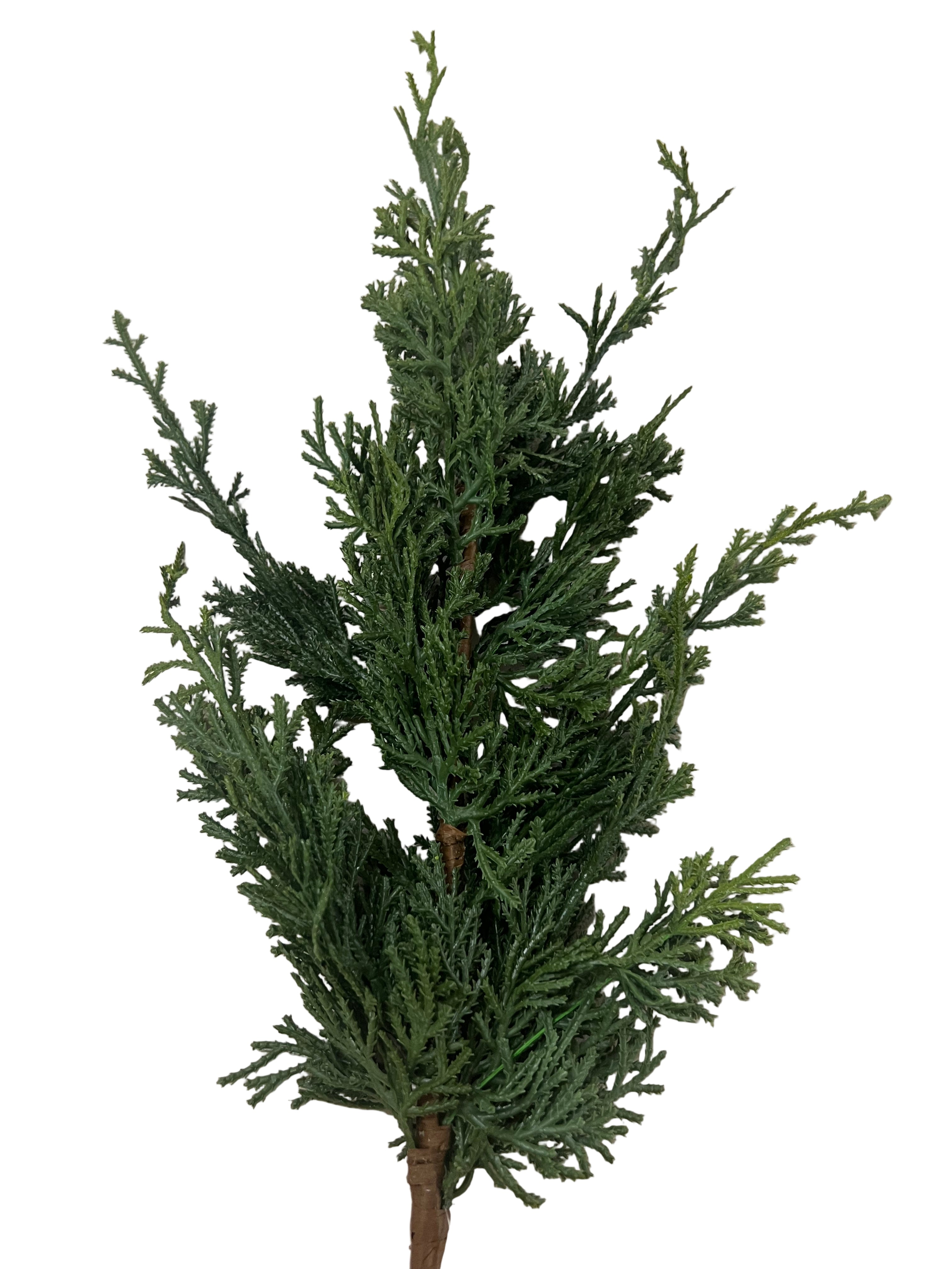20.5" Arborvitae Cedar Spray